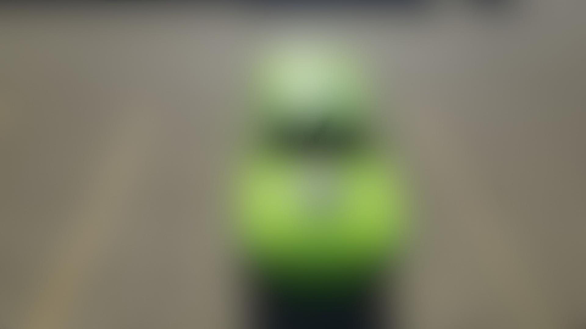 Blurred gallery preview